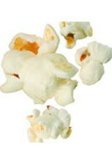 شيل أوت بوب كورن